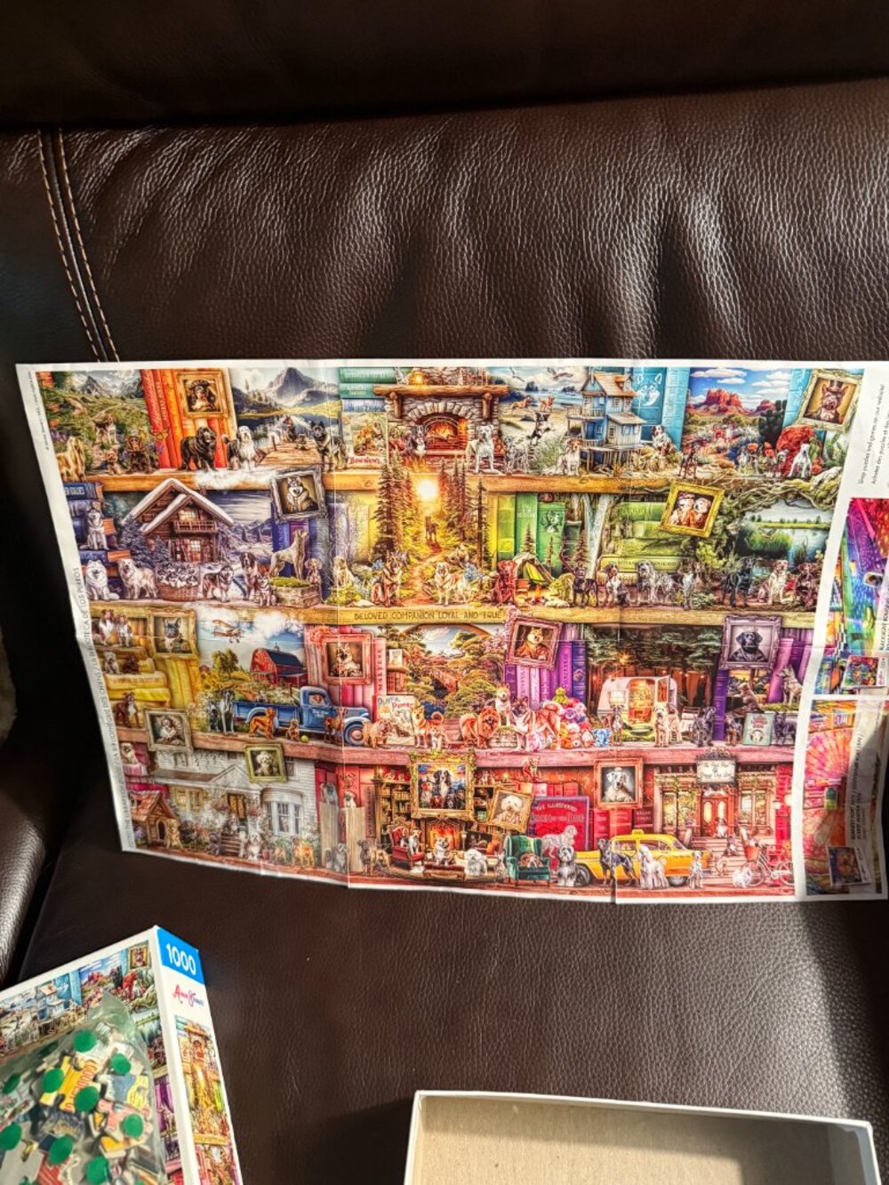 Aimee Stewart The Library of Dogs. 1000 piece jigsaw puzzle with poster. - Picture 4 of 4